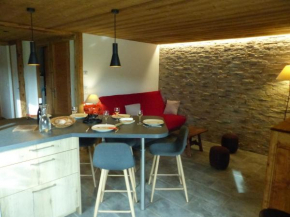 Charmant appartement en chalet historique avec bain norvégien, proche pistes et commodités - FR-1-467-96